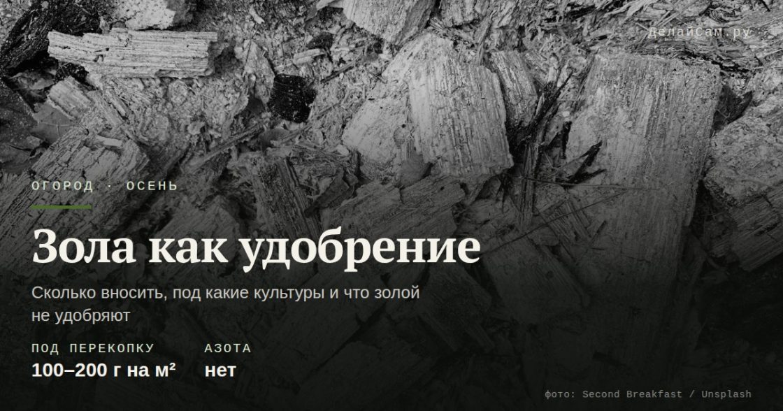 Зола как удобрение: сколько и куда вносить