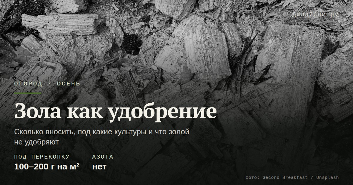 зола как удобрение