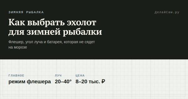Как выбрать эхолот для зимней рыбалки